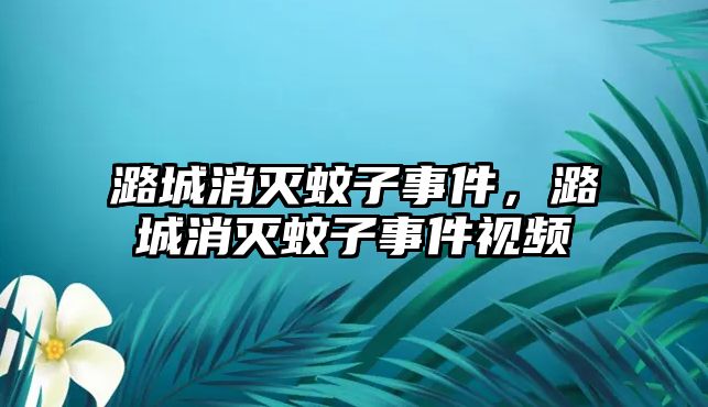 潞城消滅蚊子事件，潞城消滅蚊子事件視頻